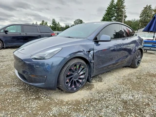 TESLA MODEL  Y