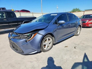 TOYOTA COROLLA XLE