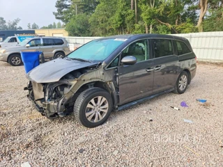HONDA ODYSSEY EXL