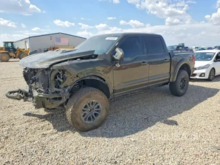 FORD F150 RAPTOR