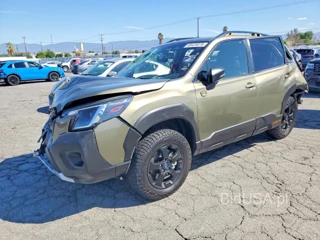 SUBARU FORESTER WILDERNESS