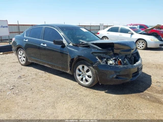 HONDA HONDA ACCORD