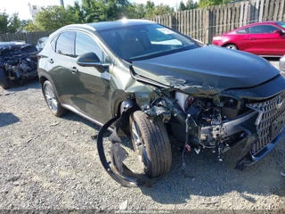 LEXUS LEXUS NX 350 LUXURY