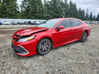 TOYOTA CAMRY XLE
