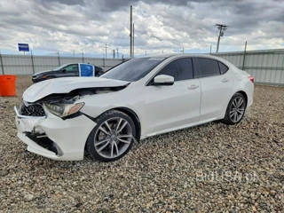 ACURA TLX ADVANCE