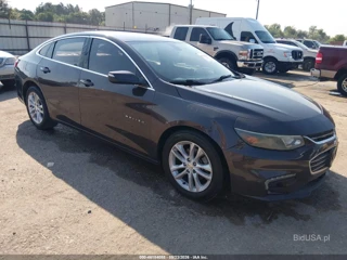 CHEVROLET CHEVROLET MALIBU 1LT