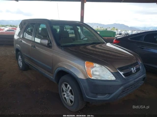 HONDA HONDA CR-V EX