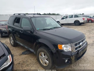 FORD FORD ESCAPE XLT
