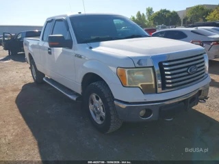 FORD FORD F-150 XLT