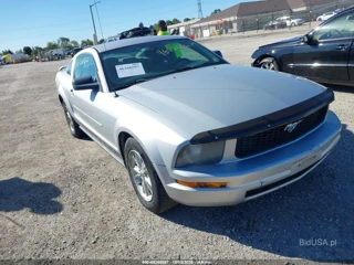 FORD FORD MUSTANG V6
