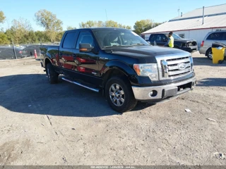 FORD FORD F-150 XLT
