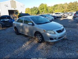 TOYOTA TOYOTA COROLLA LE
