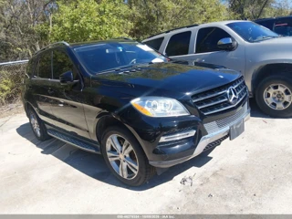 MERCEDES-BENZ MERCEDES-BENZ ML 350