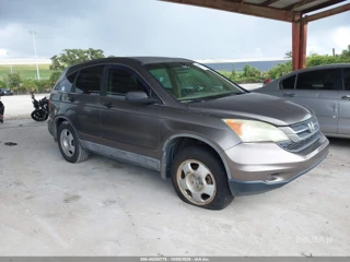 HONDA HONDA CR-V LX