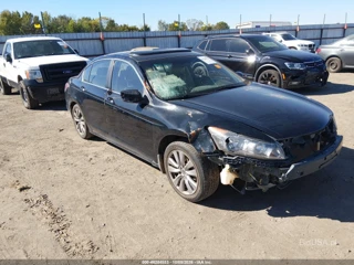 HONDA HONDA ACCORD 2.4 EX-L