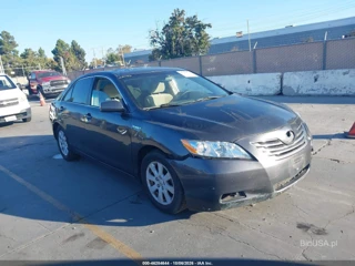 TOYOTA TOYOTA CAMRY HYBRID