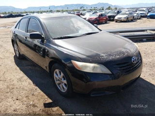TOYOTA TOYOTA CAMRY XLE