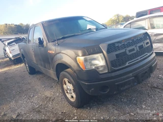 FORD FORD F-150 XLT