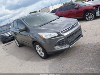 FORD FORD ESCAPE SE