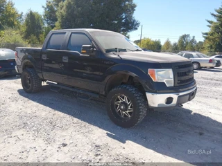 FORD FORD F-150 XLT