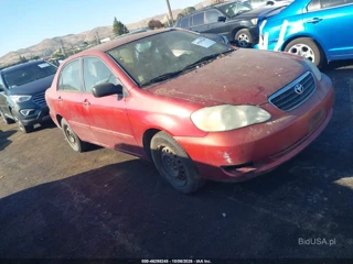 TOYOTA TOYOTA COROLLA LE