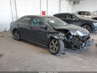 TOYOTA TOYOTA CAMRY SE V6