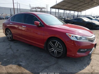 HONDA HONDA ACCORD SPORT
