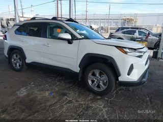 TOYOTA TOYOTA RAV4 XLE