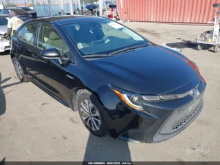TOYOTA TOYOTA COROLLA HYBRID LE