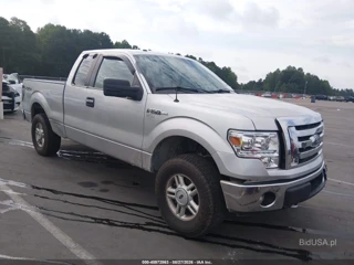 FORD FORD F-150 XLT