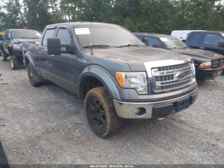 FORD FORD F150 SUPERCREW