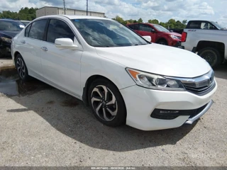 HONDA HONDA ACCORD EX-L
