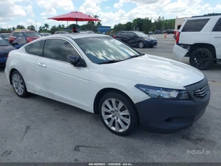 HONDA HONDA ACCORD 3.5 EX-L