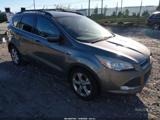 FORD FORD ESCAPE SE