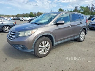 HONDA CR-V EX