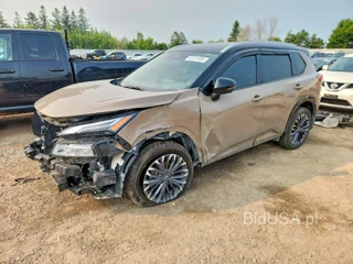 NISSAN ROGUE PLATINUM