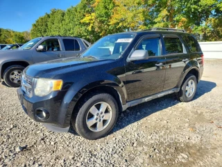 FORD ESCAPE XLT