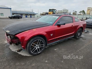FORD MUSTANG 50TH ANNIVERSARY