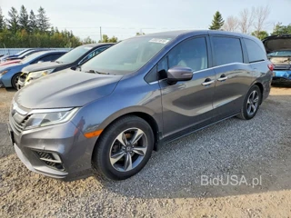 HONDA ODYSSEY EX
