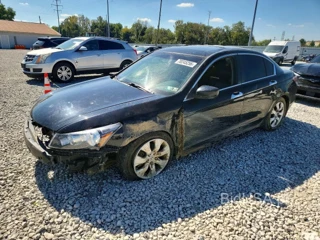 HONDA ACCORD EXL