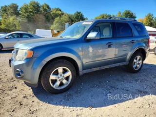 FORD ESCAPE LIMITED