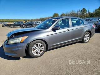 HONDA ACCORD SE