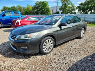 HONDA ACCORD EXL