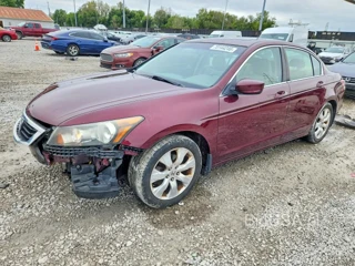 HONDA ACCORD EXL