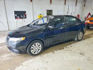 KIA FORTE EX