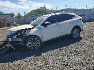 TOYOTA VENZA XLE
