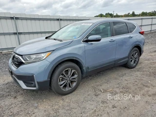 HONDA CR-V EX