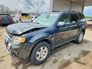 FORD ESCAPE HEV