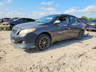 TOYOTA COROLLA XLE