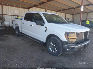 FORD FORD F-150 XLT